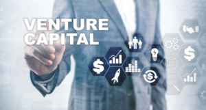 What are the Problems with Venture Capital?
