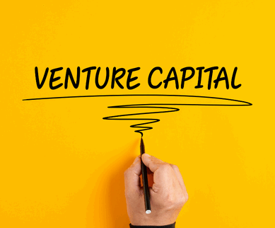 How Venture Capital Works