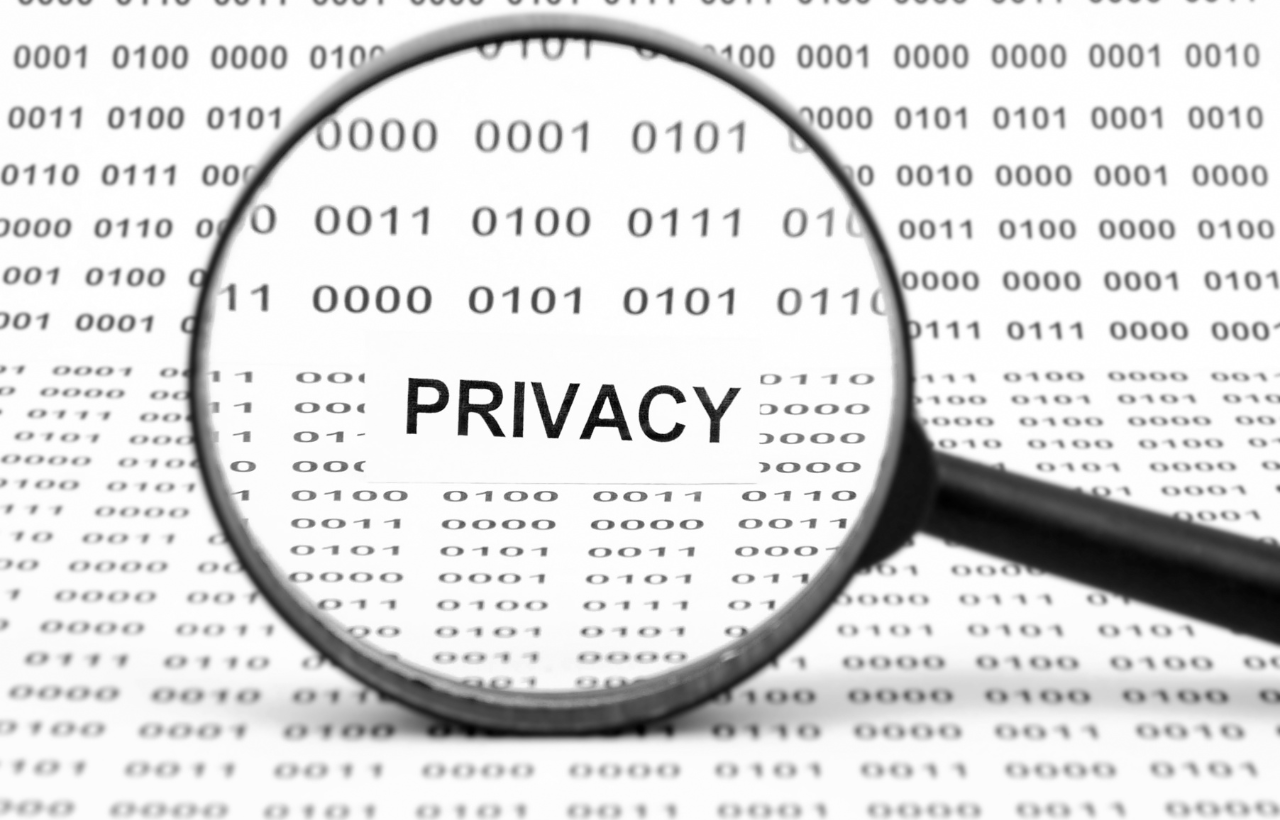 Regulatory Compliance and Data Privacy in the SaaS Landscape