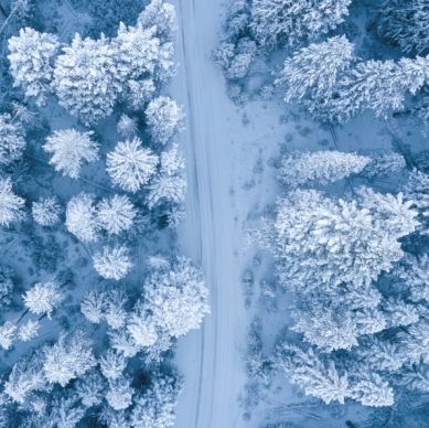 RevTek Capital - Dec 2024 Newsletter